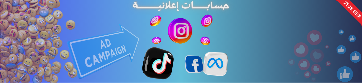 FACEBOOK INSTAGRAM TIKTOK ADS